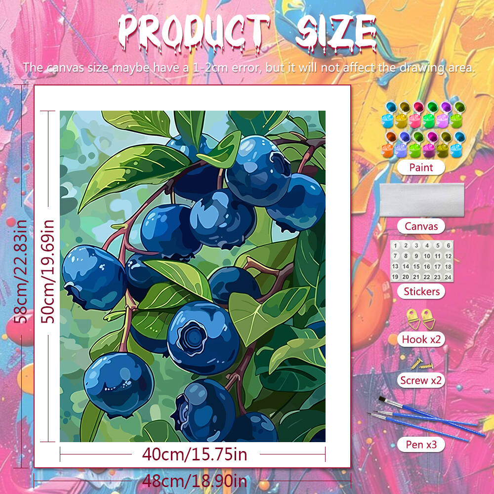 DIY Drawing By Numbers Blueber - Art Craft Gifts For Adults review and price